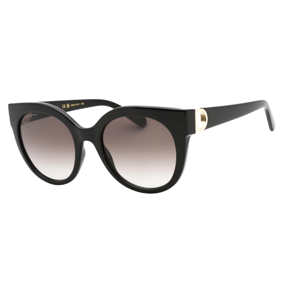 Salvatore Ferragamo SF1031S Women's Black Sunglasses